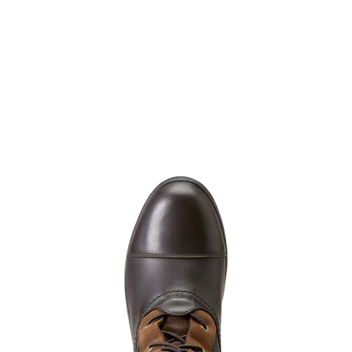Ariat Coniston Pro GTX Insulated Ridestøvler