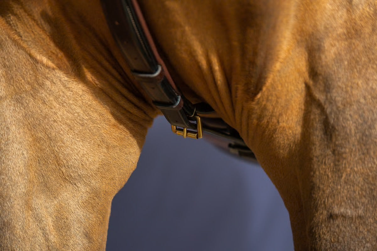 Dyon Yoke Martingale - Brun/Messing