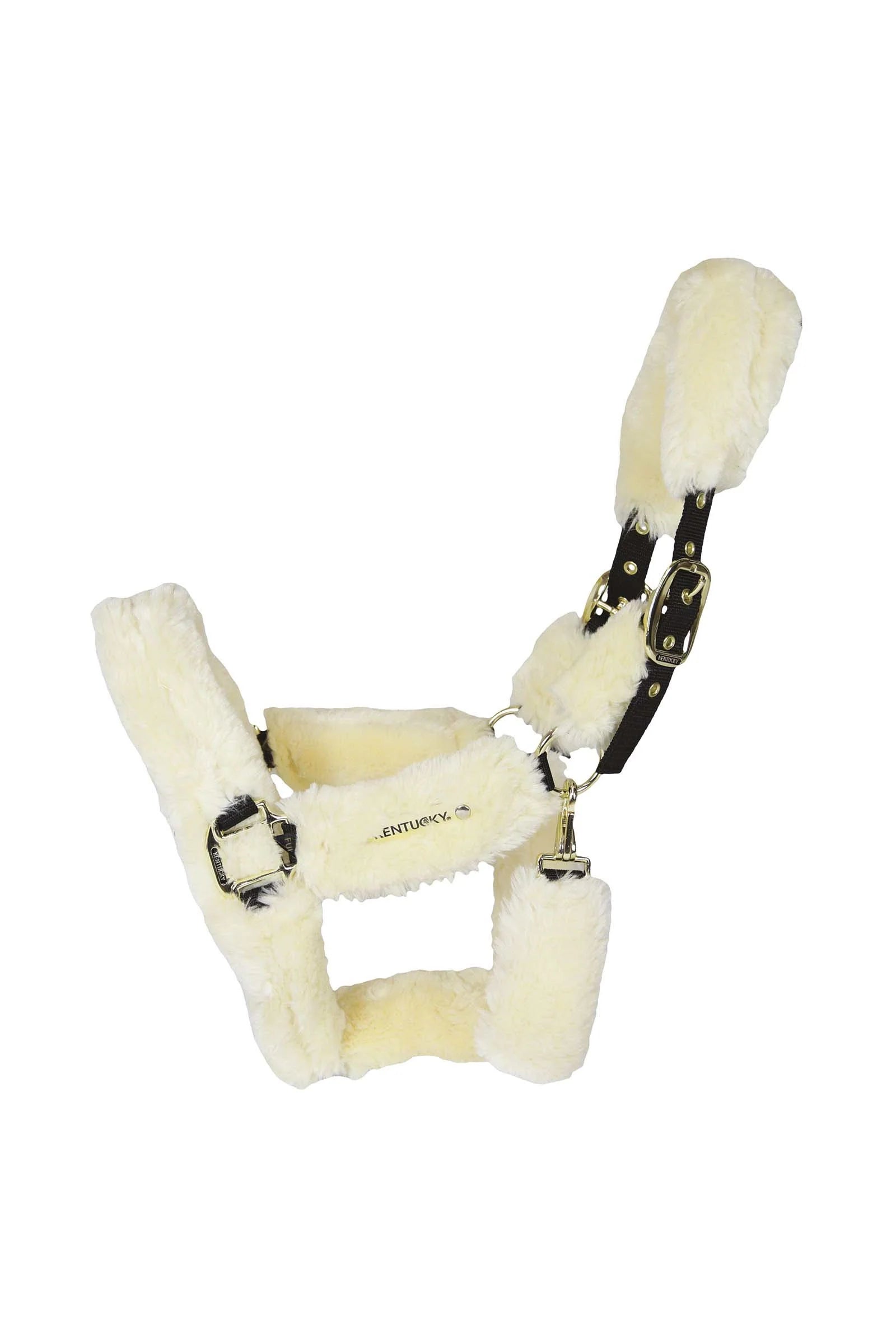 Kentucky Grime med fuld lam