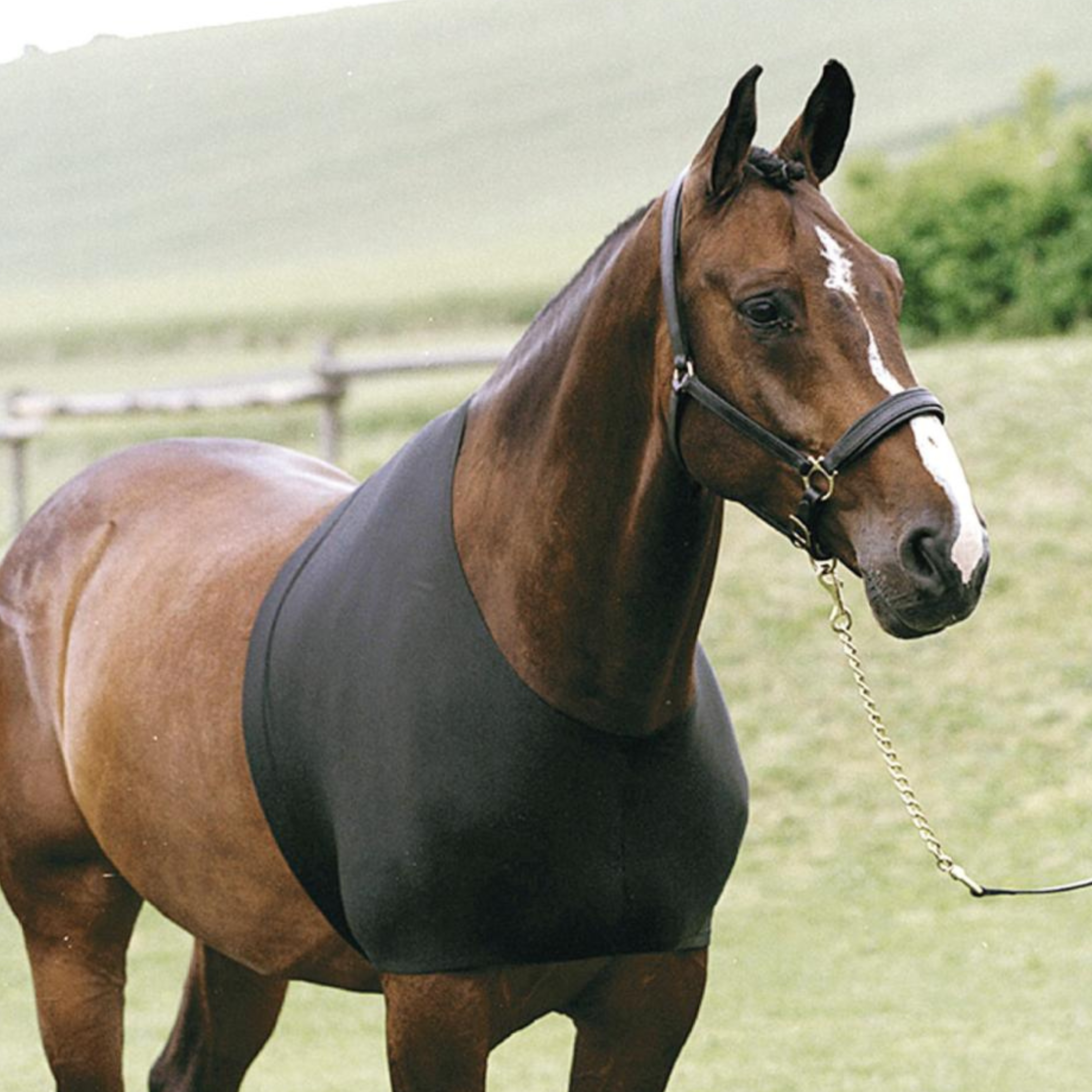 HorseGuard Dækkenundertrøje