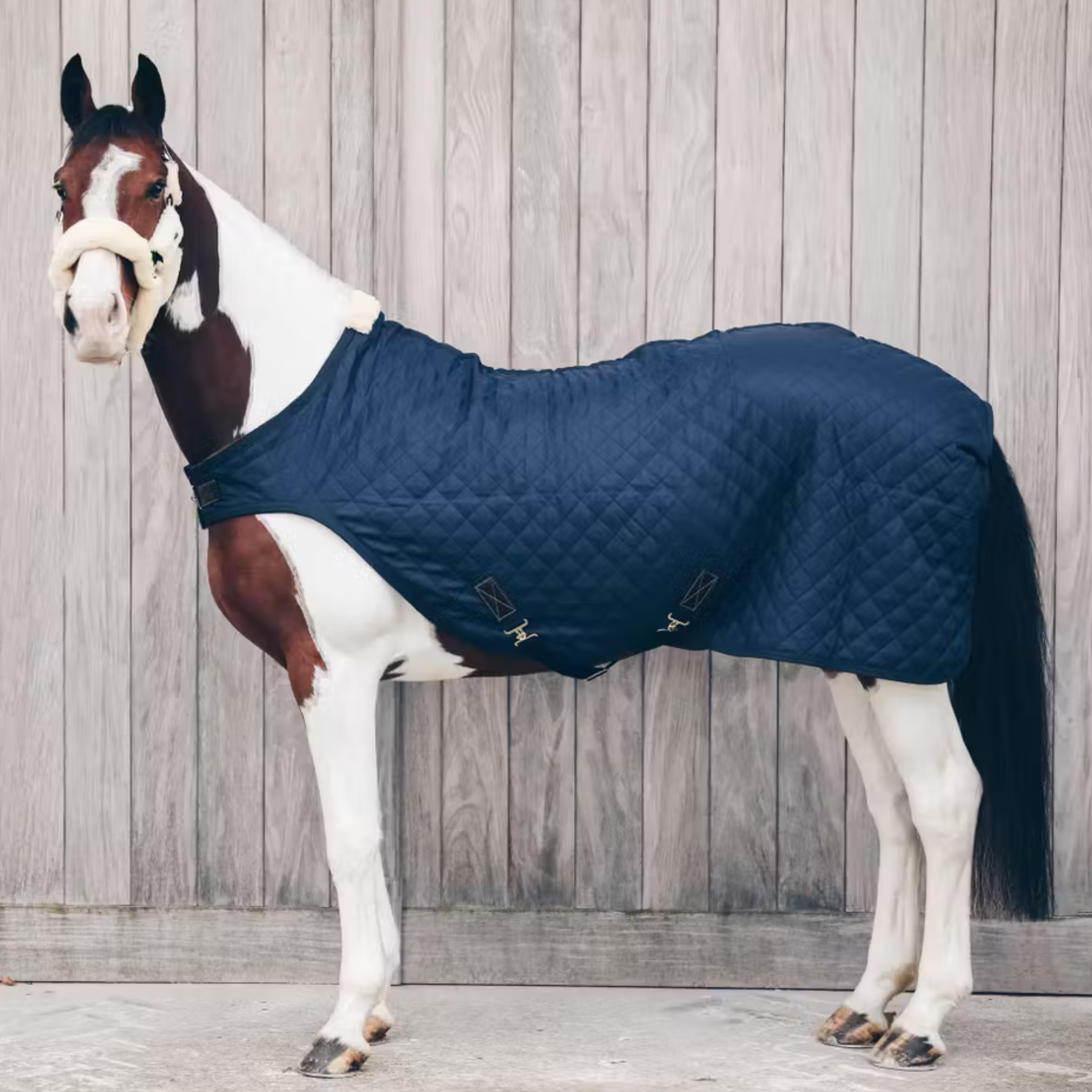 Kentucky Quiltet Walkerdækken - Navy