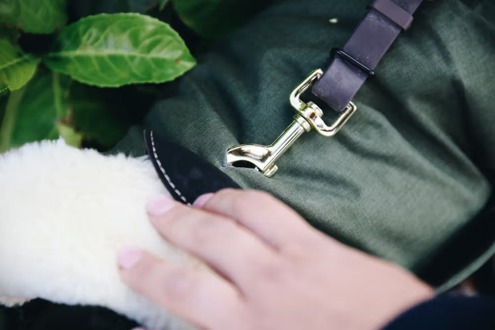 Kentucky Hundedækken