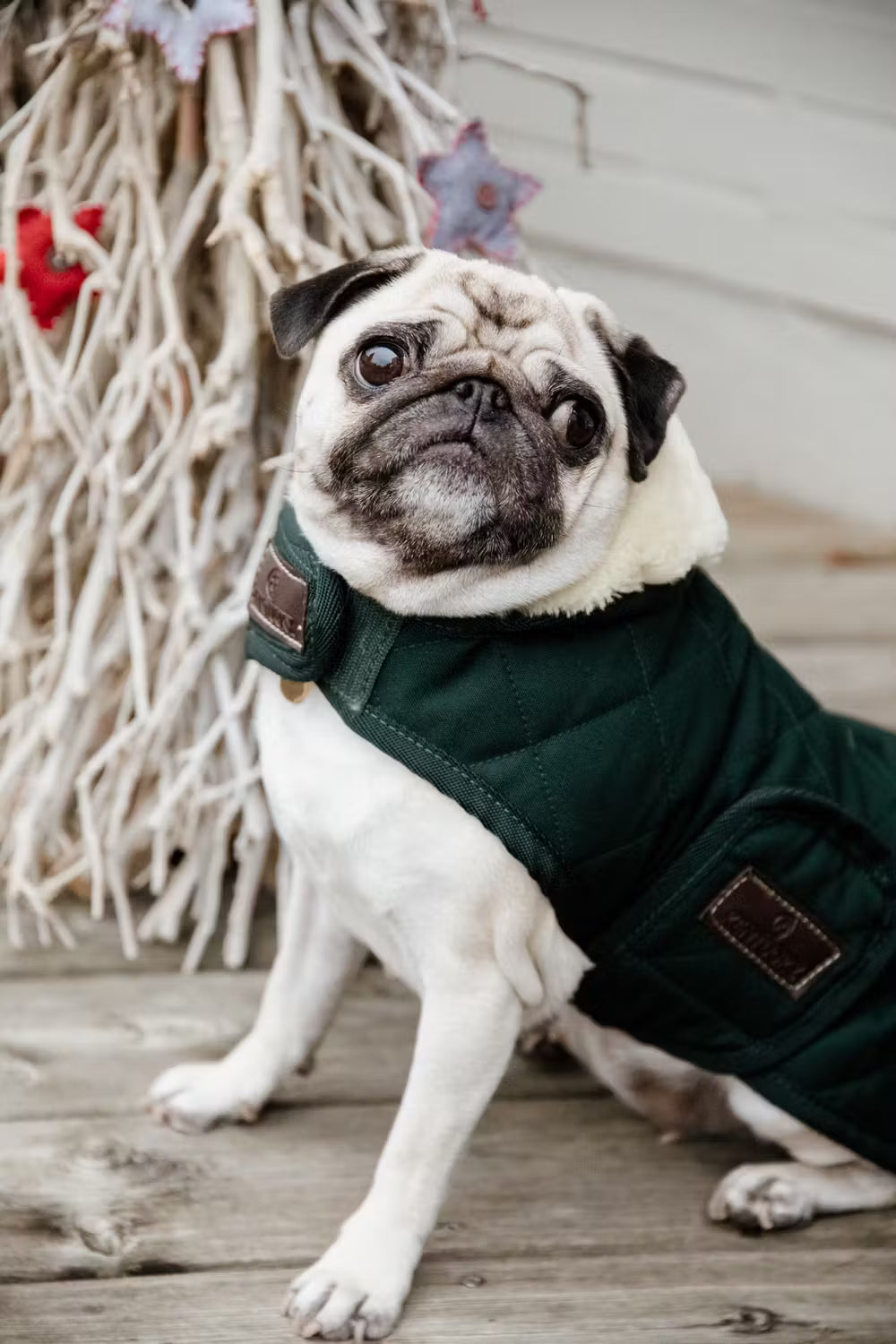 Kentucky Hundedækken - Dark Green