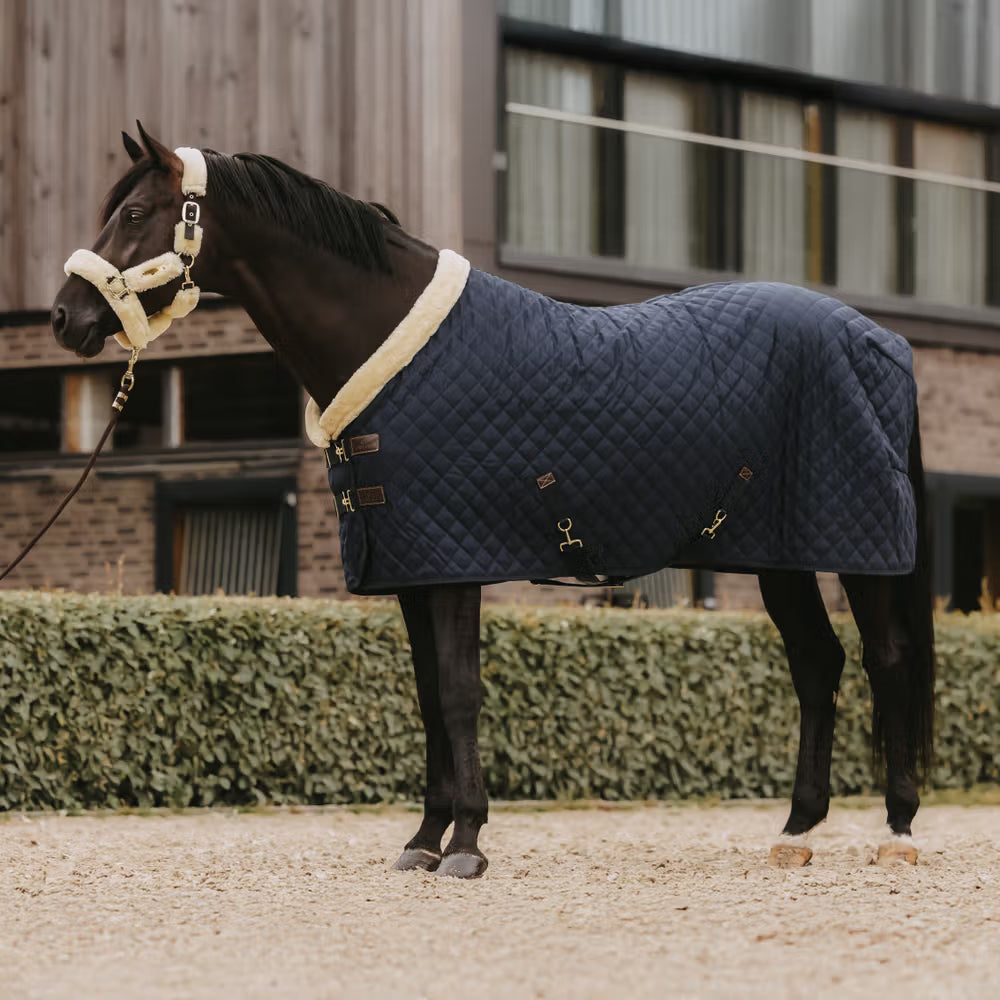 Kentucky Show Dækken, 160 gram - Flere Farver