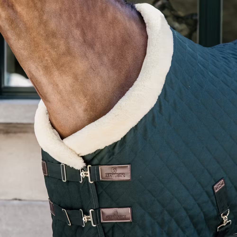 Kentucky Show Dækken 160 g - Dark Green