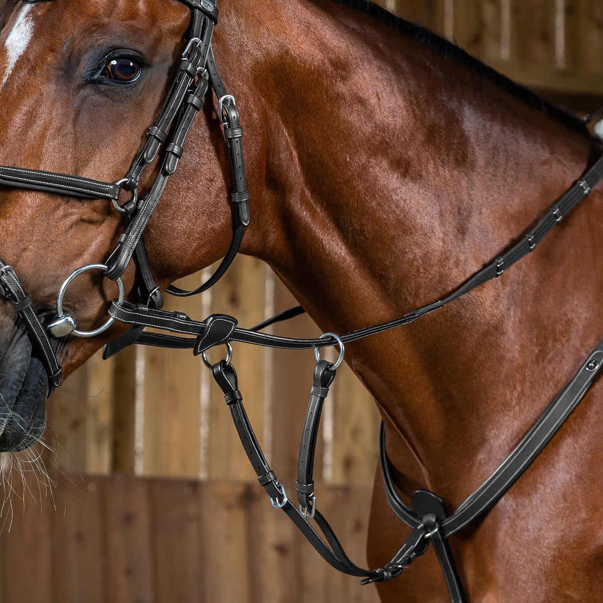 Dyon Løs Martingale