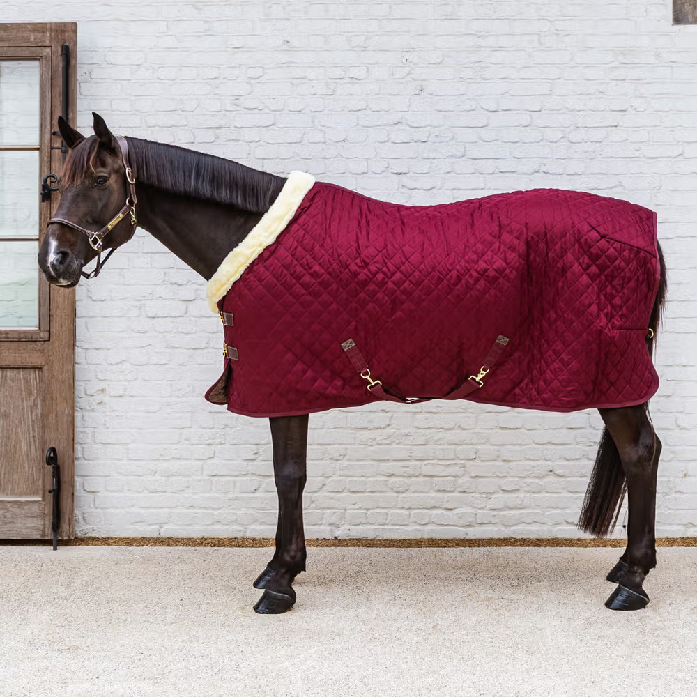 Kentucky Show Dækken, 160 gram - Flere Farver