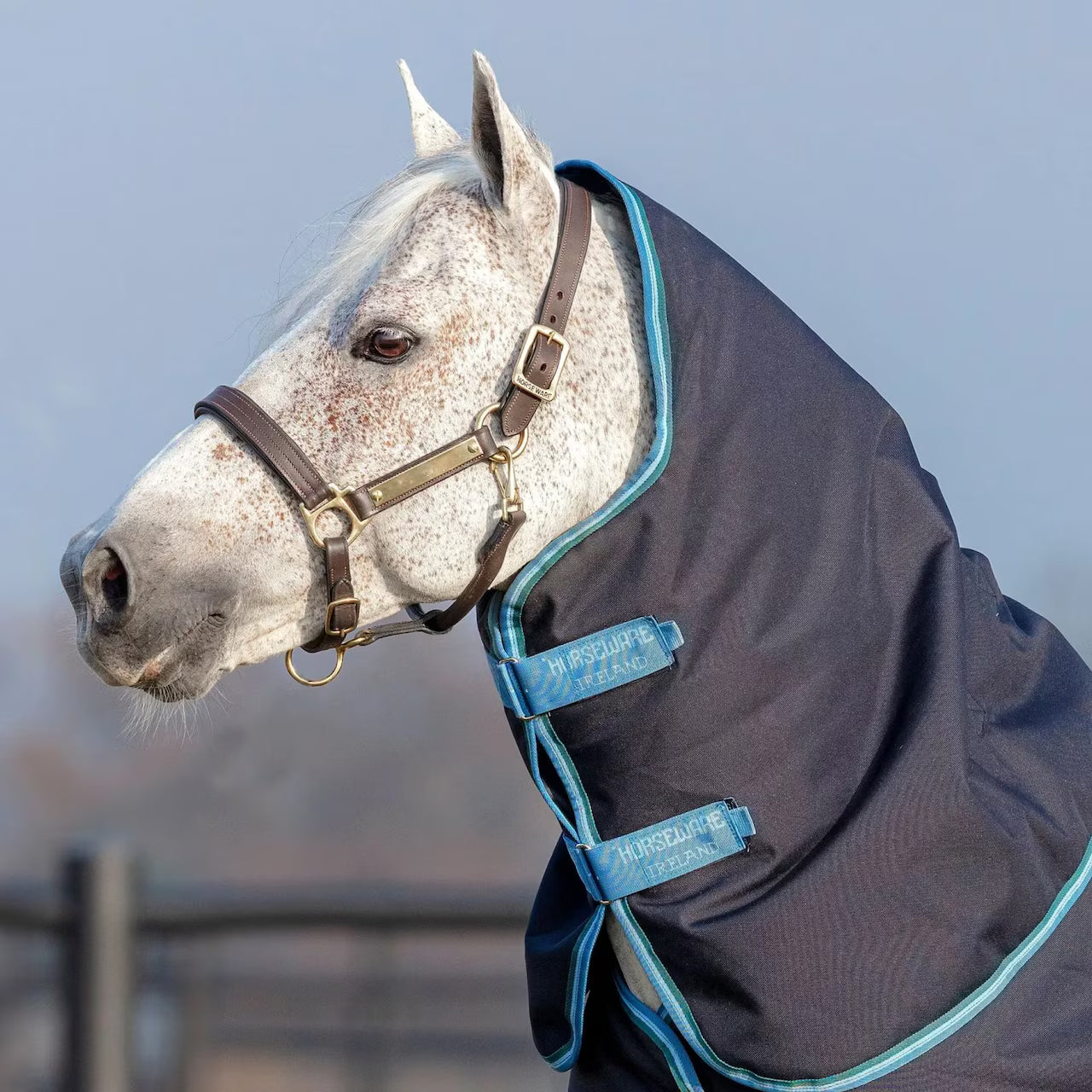 Amigo 1200D Hals 150g - Navy/Turquoise