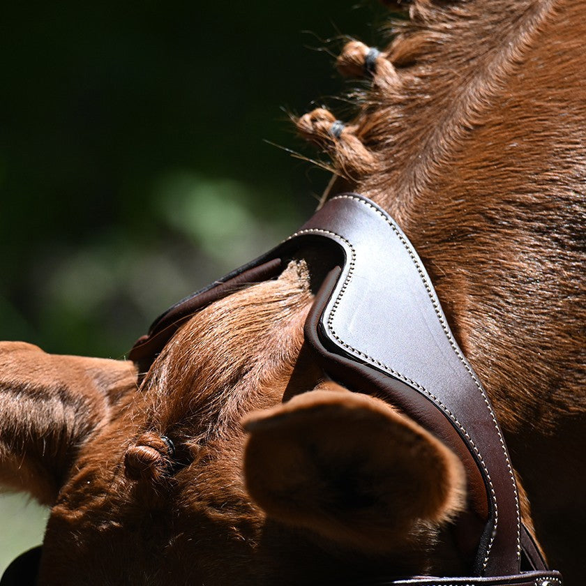 Antares Precision Trense m. Y-Næsebånd - Brun