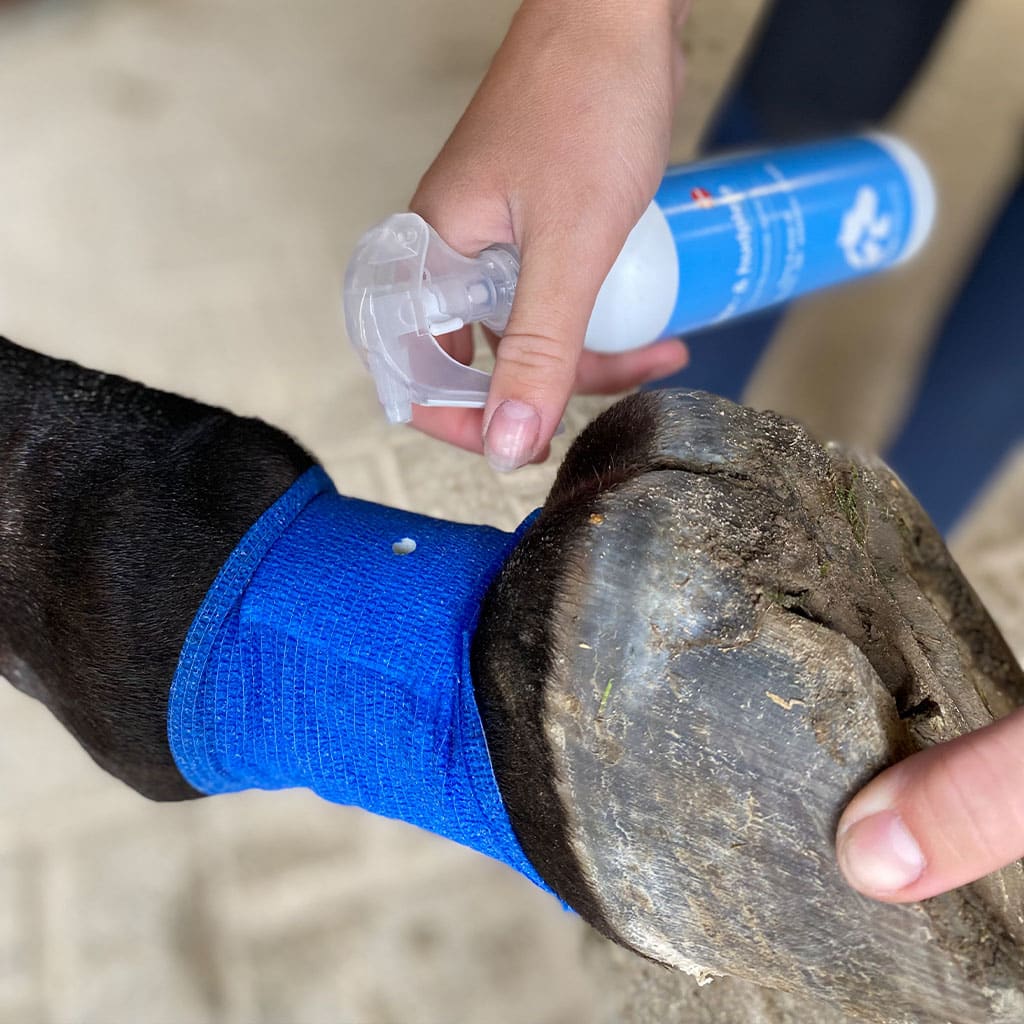 Bacxitium Ben/Mukplaster