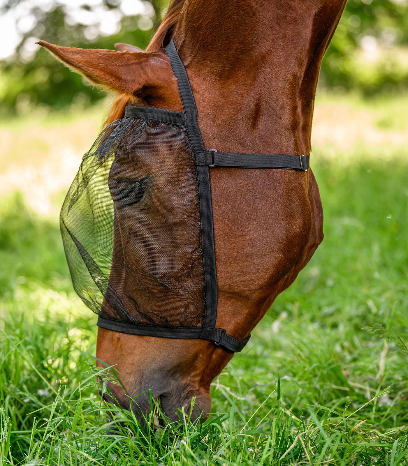 Fly mask Basic uden øre