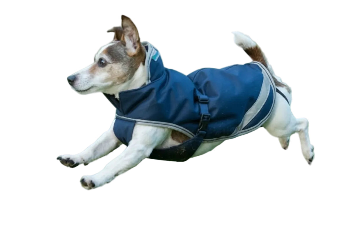 Bucas Hundedækken 300g - Navy