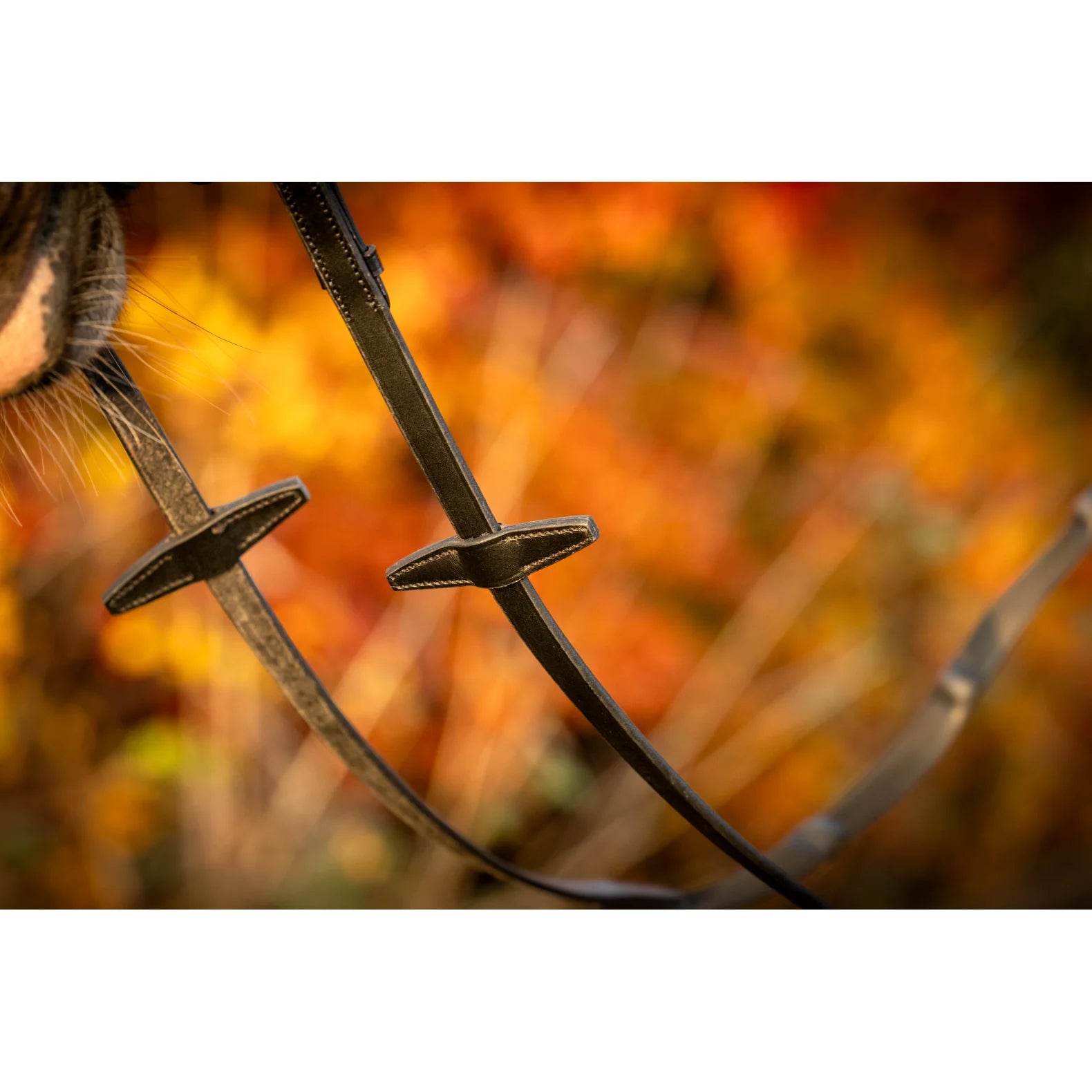 ByWeber Kris Ergo Gummitøjle