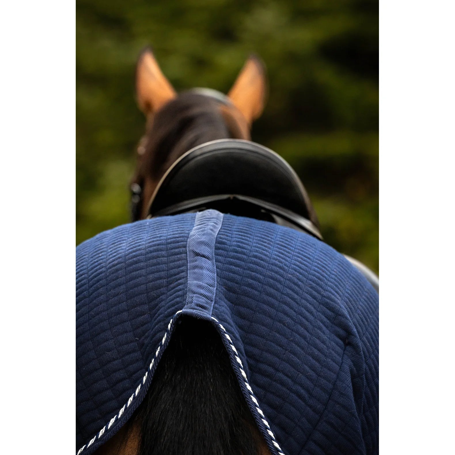 Byweber Lændedækken m. Snoet Pipe