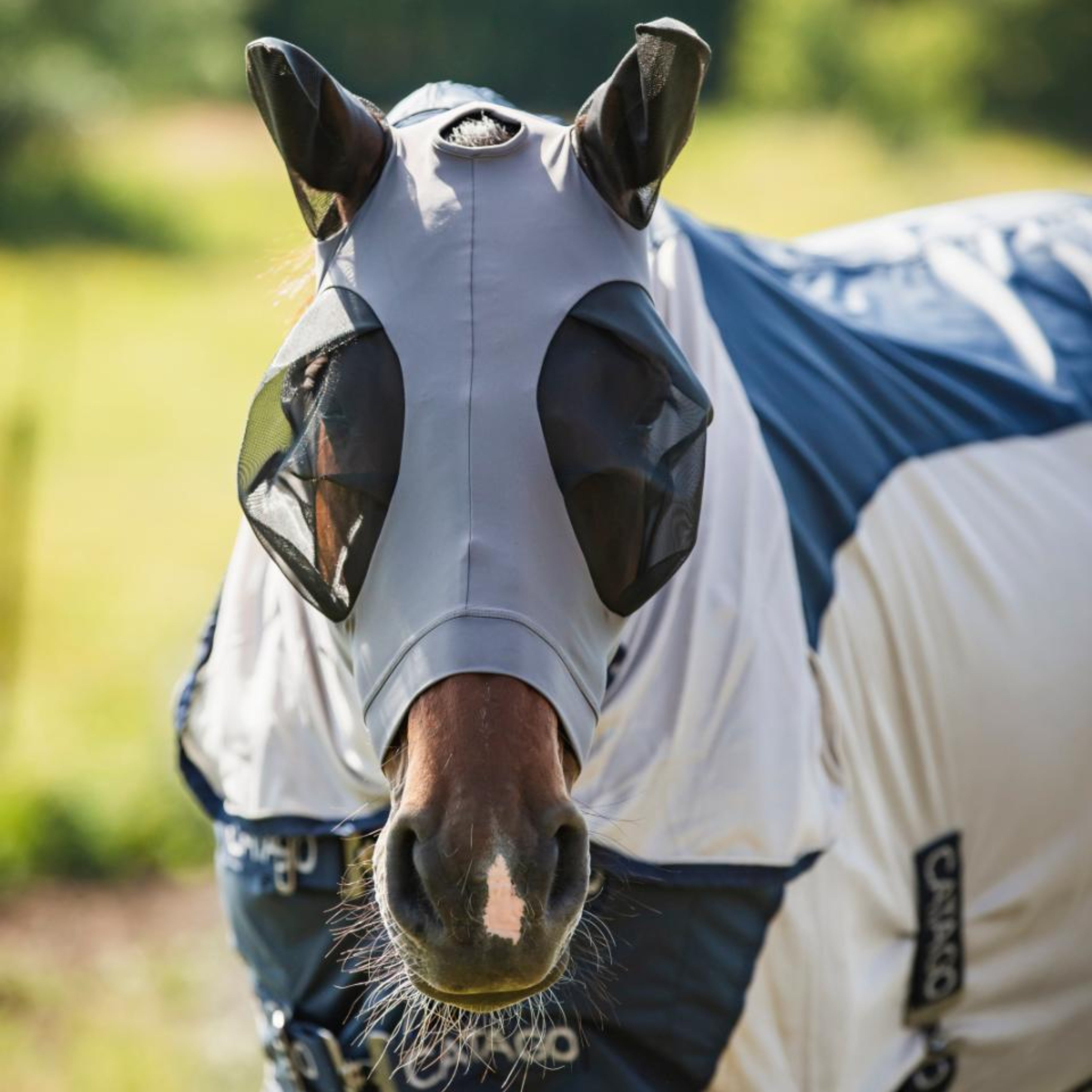 CATAGO Fluemaske