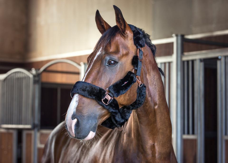 Catago Grime m. Imiteret Lammeskind - Sort