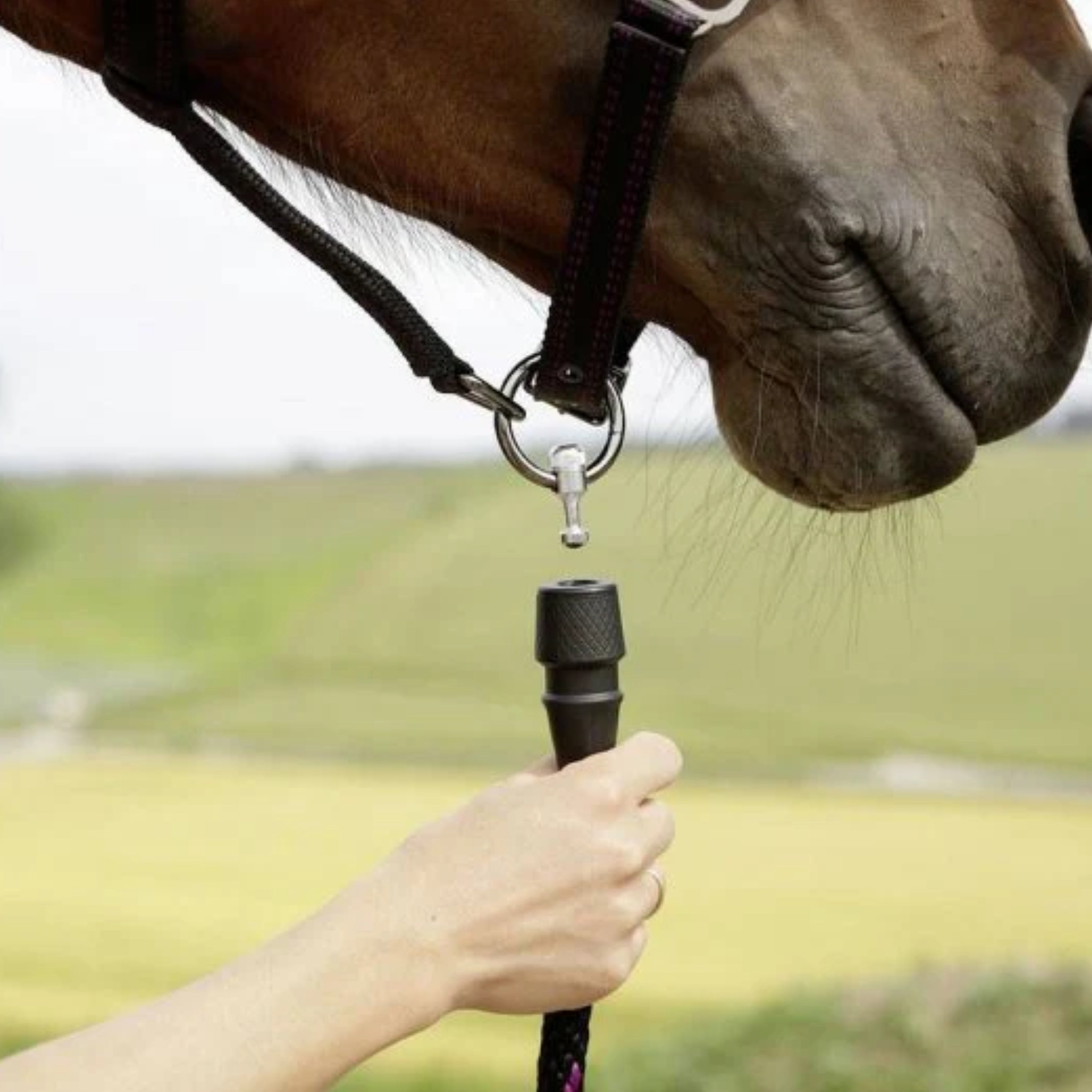Covalliero GoLeyGo Træktov - Blå/Guld
