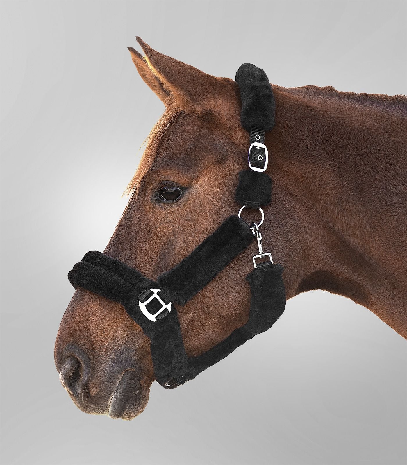 Waldhausen Cozy Grime - Sort