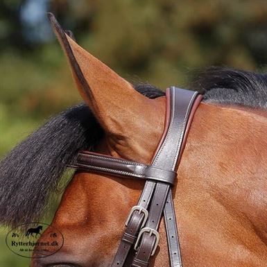 Dyon Working Classic Trense