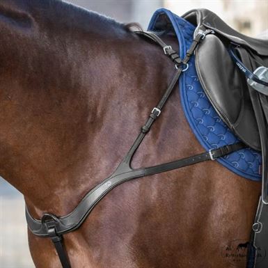 Dyon Anatomisk 5 Punkts Fortøj - Sort/Stål