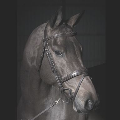 Dyon Anatomisk Trense Stål - Sort