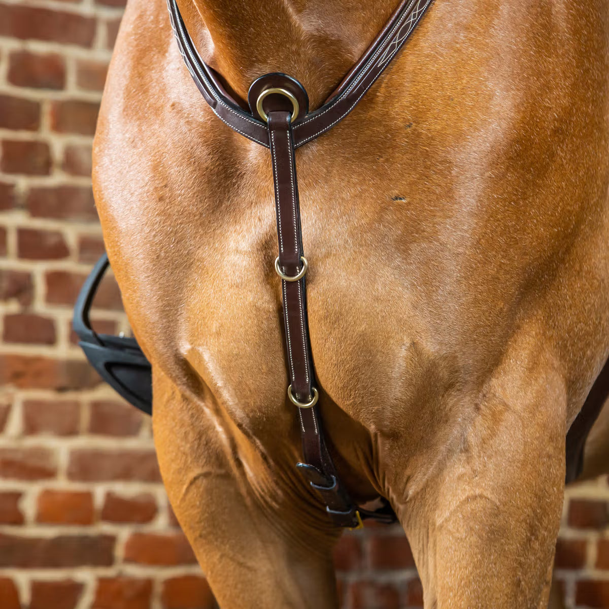 Dyon D Coll. Bridge Fortøj m. Messing