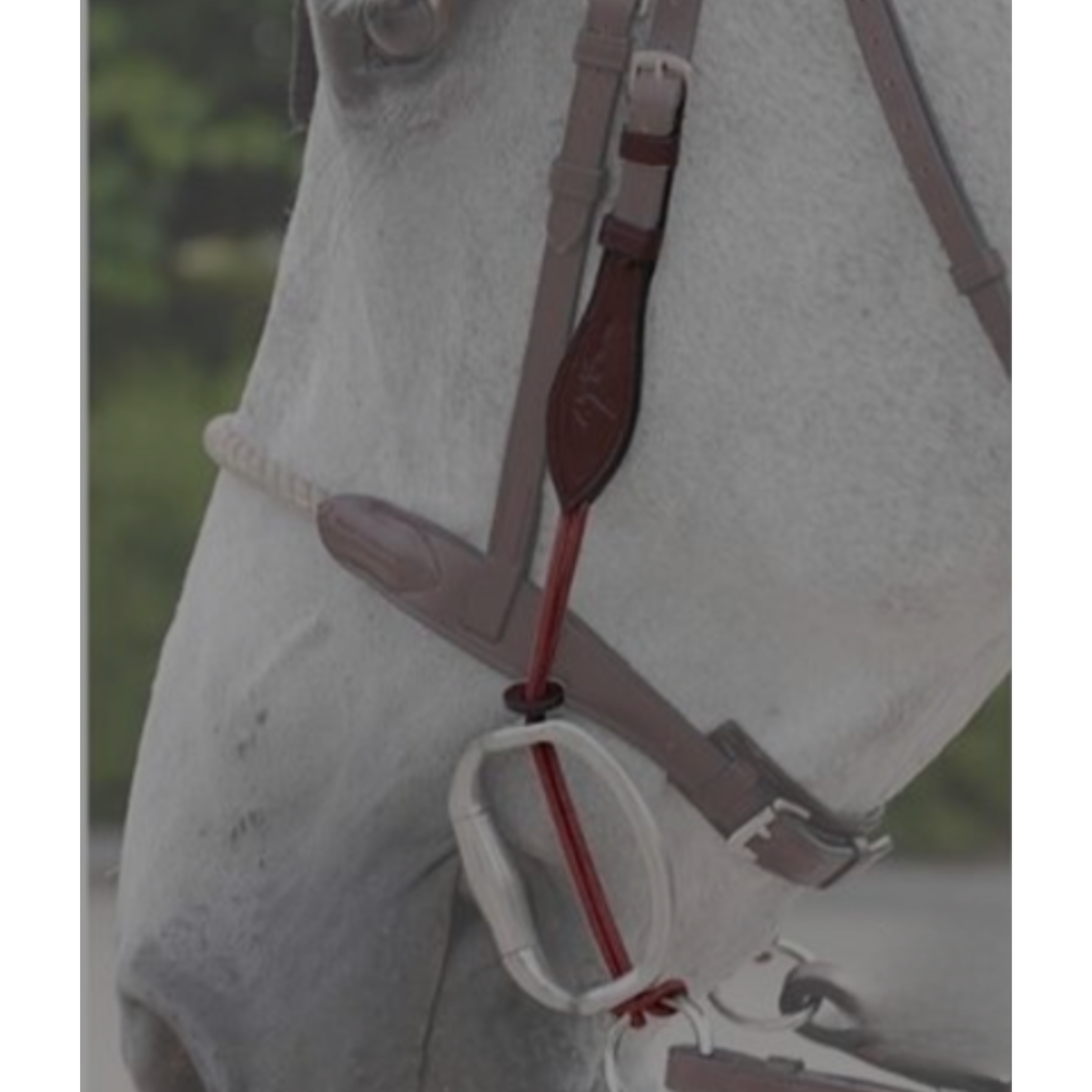 Dyon Gagstropper m. sølv - Flere farver