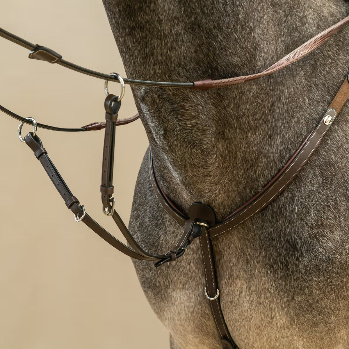 Dyon Løs Working Martingal