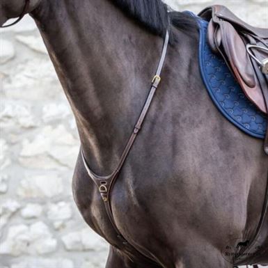 Dyon Yoke Martingale - Brun/Stål