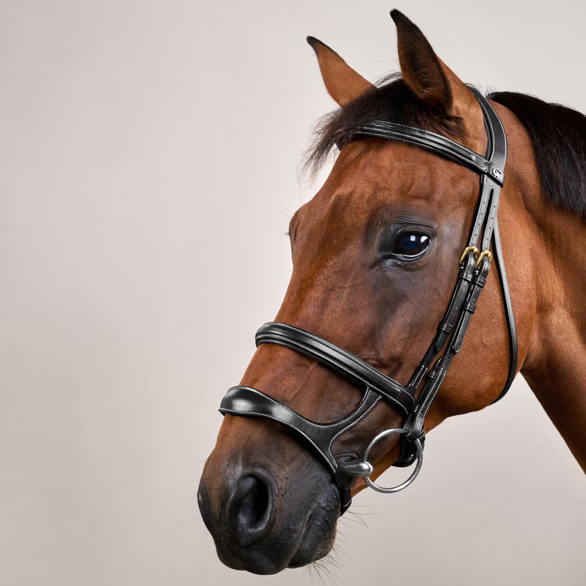 Dyon Anatomisk Trense m.Dobbelt Næsbånd - Sort