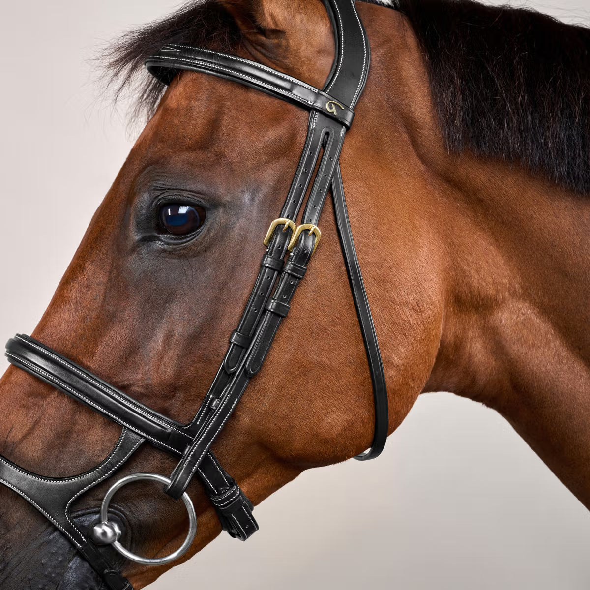 Dyon Anatomisk Trense m.Dobbelt Næsbånd - Sort