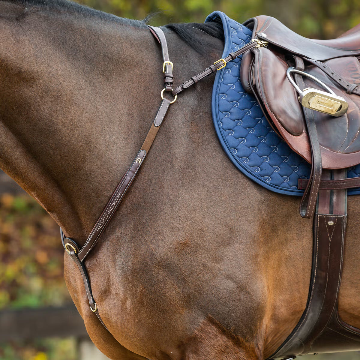 Dyon D Coll. Bridge Fortøj m. Messing