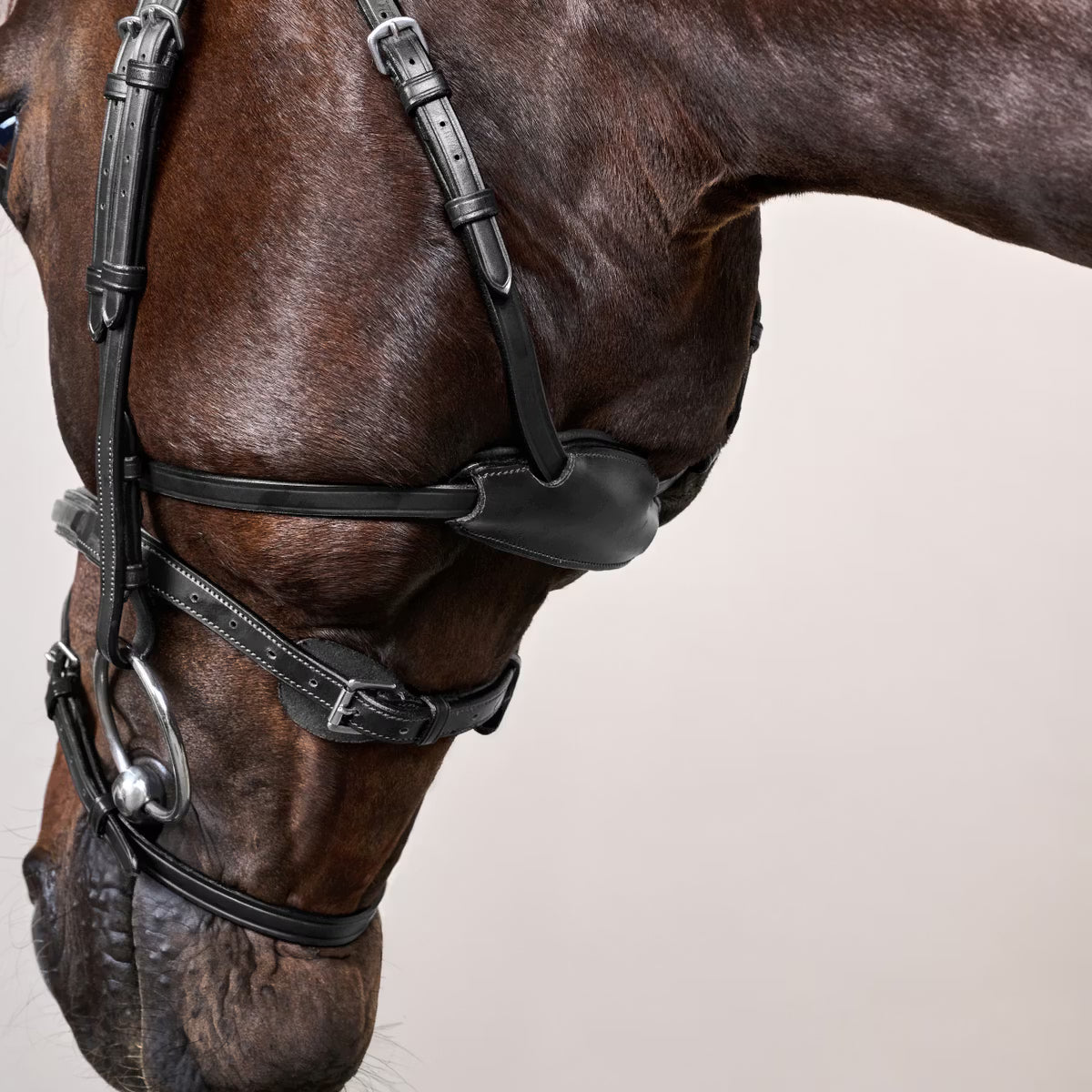 Dyon Difference Trense