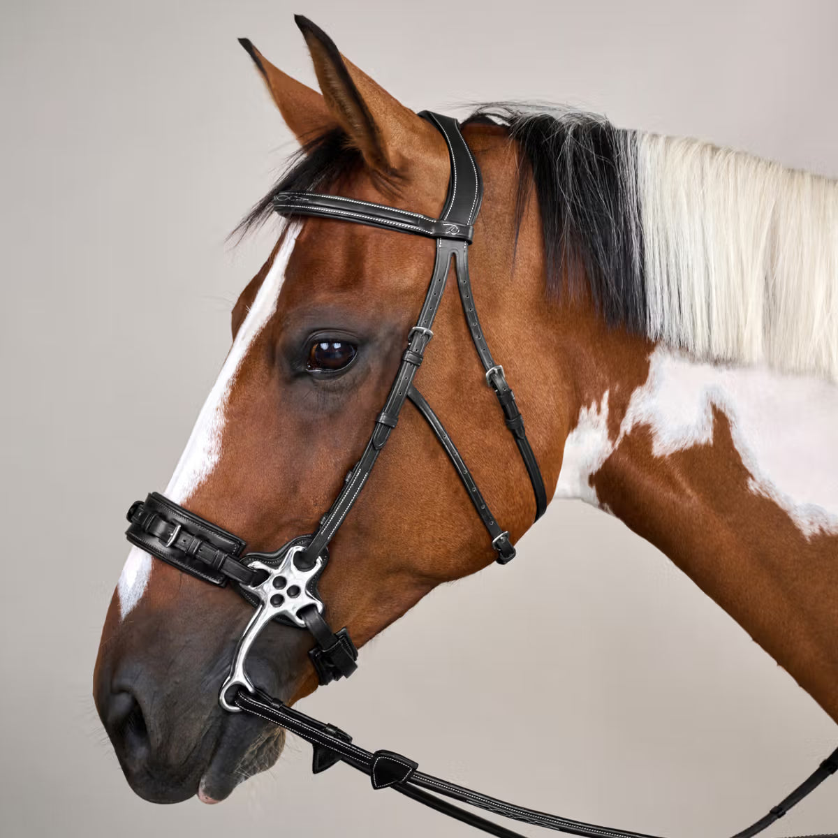 Dyon Working Hackamore Trense