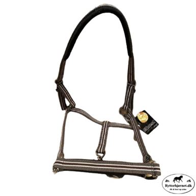 Equest Vario Plus Nylon Grime - Chocolate/Anthracite