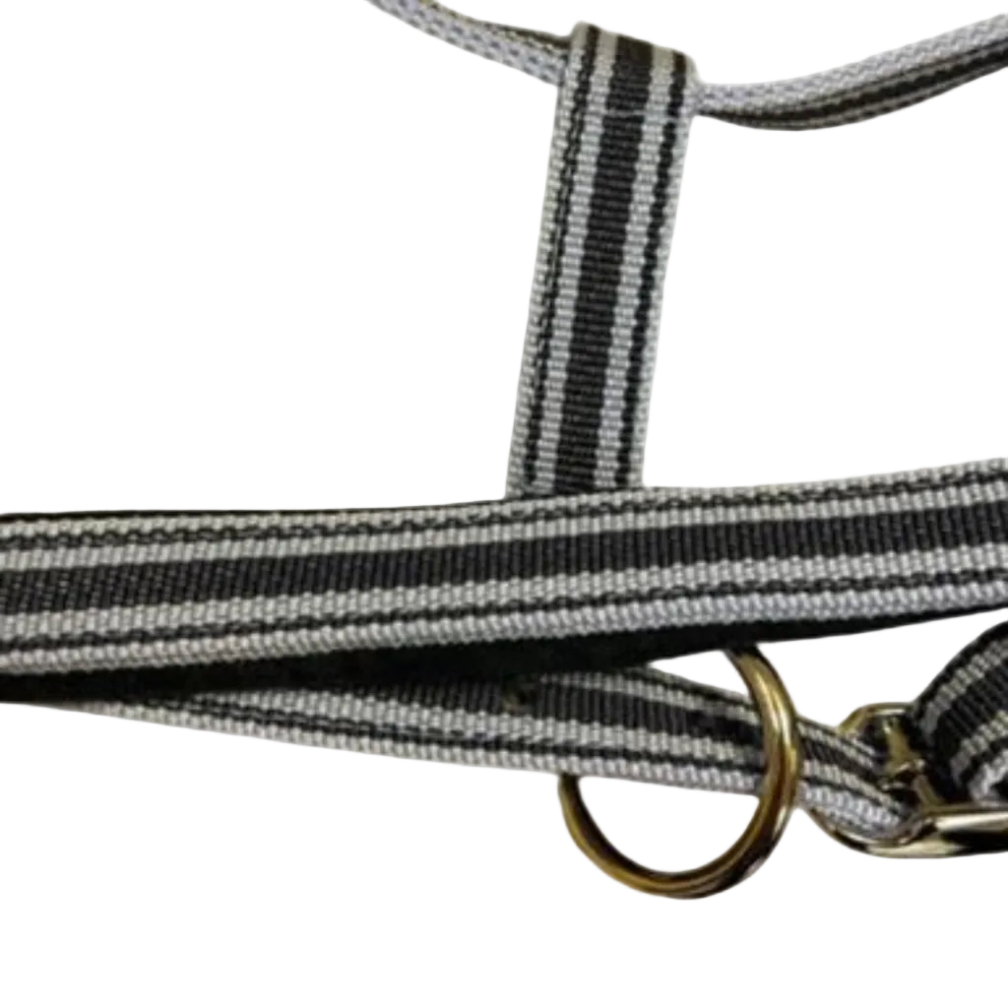 Equest Vario Plus Nylon Grime - Navy/Lightblue