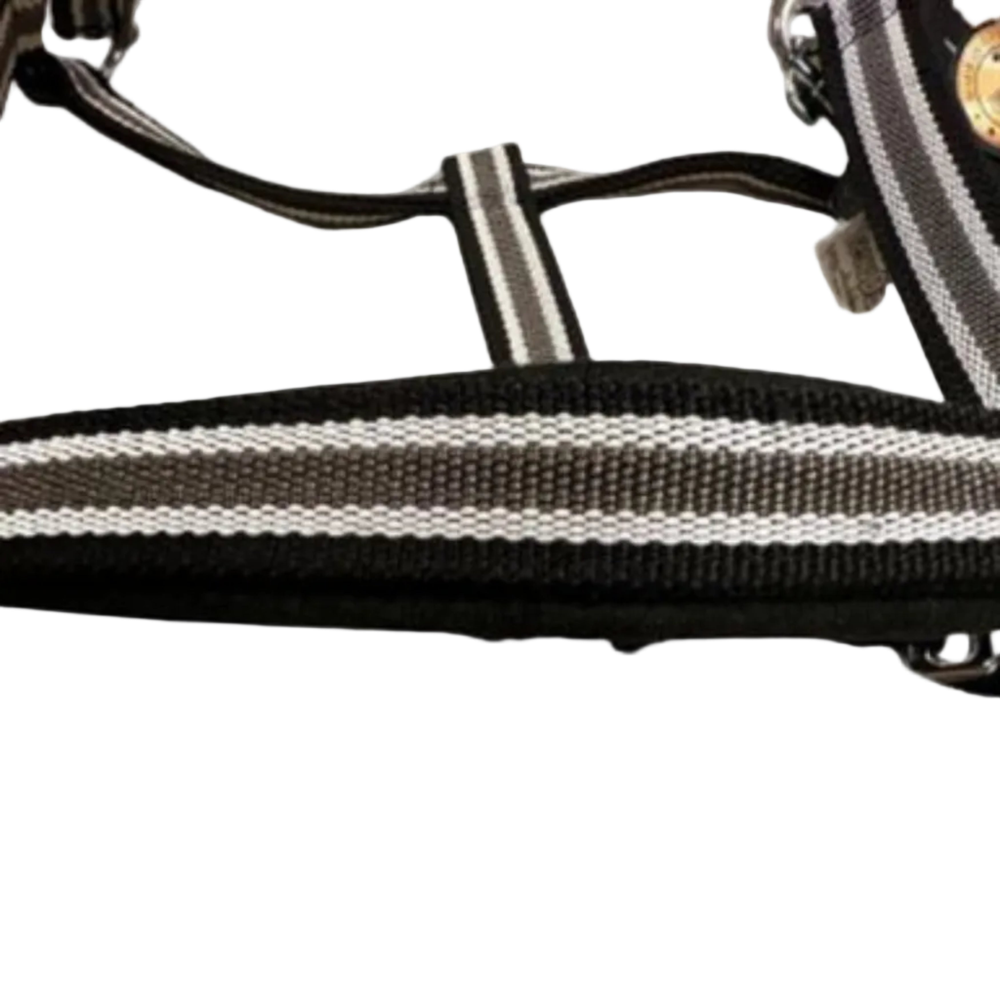 Equest Vario Plus Nylon Grime - Moonstone/Anthracite