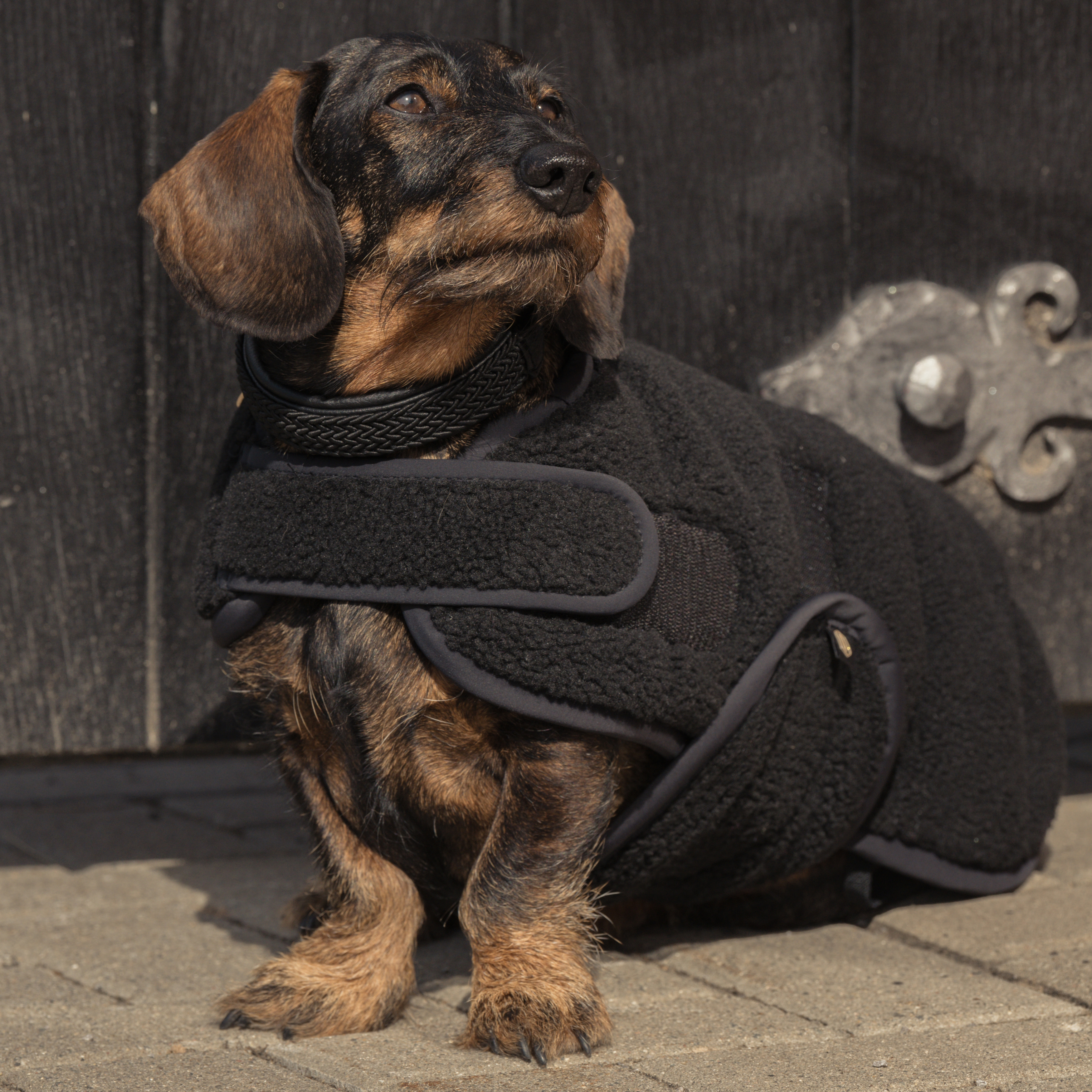 Eskadron Heritage Teddy Hundedækken - Sort