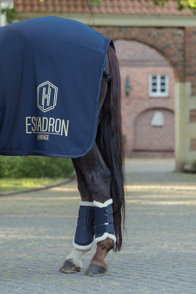 Eskadron Heritag Aerial Jersey Sveddækken