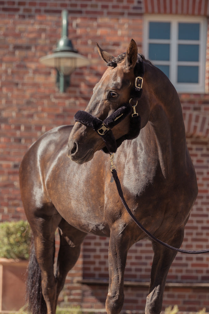 Eskadron Heritage Faux Fur Grime