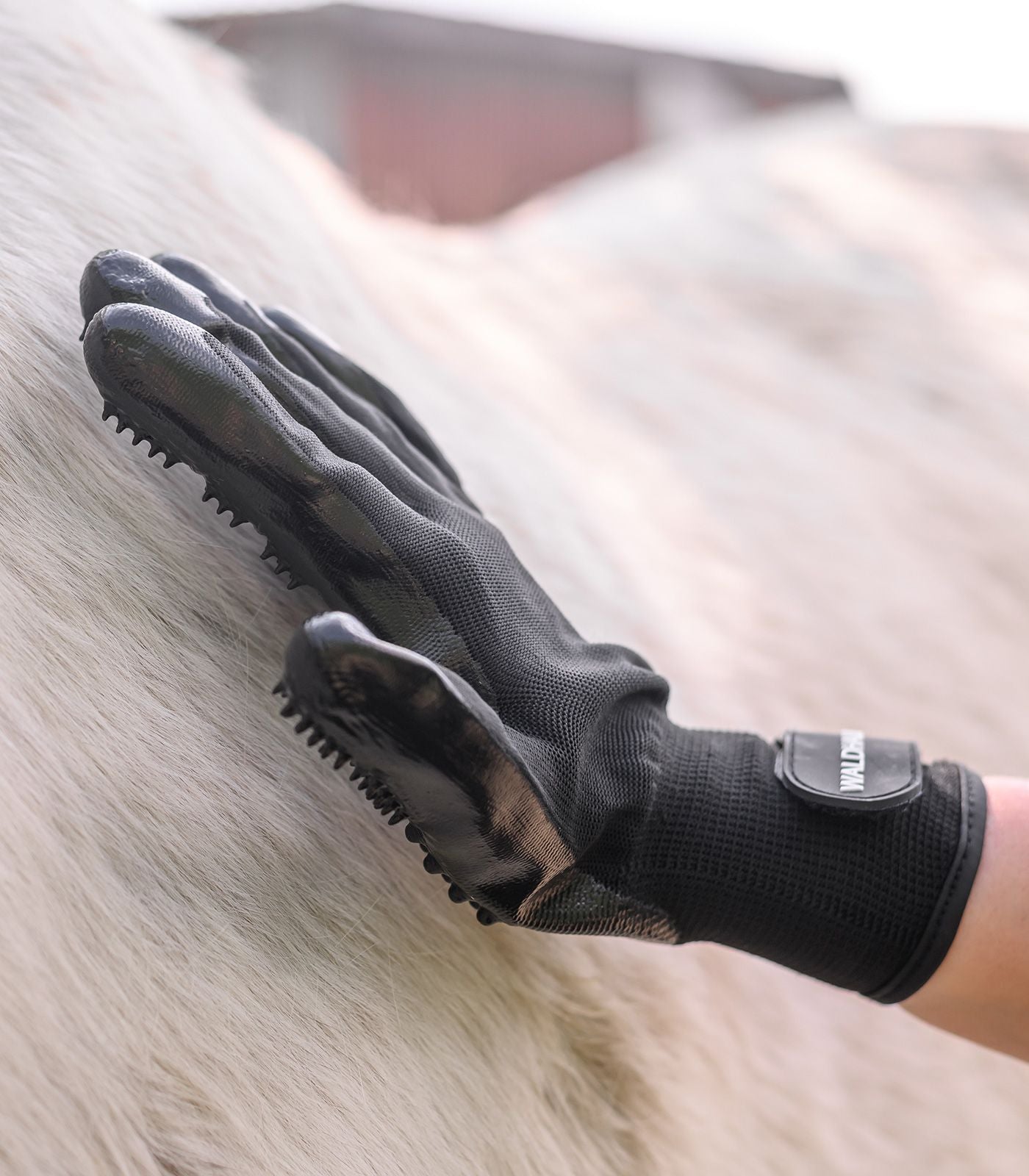 Waldhausen Grooming Handske - Sort