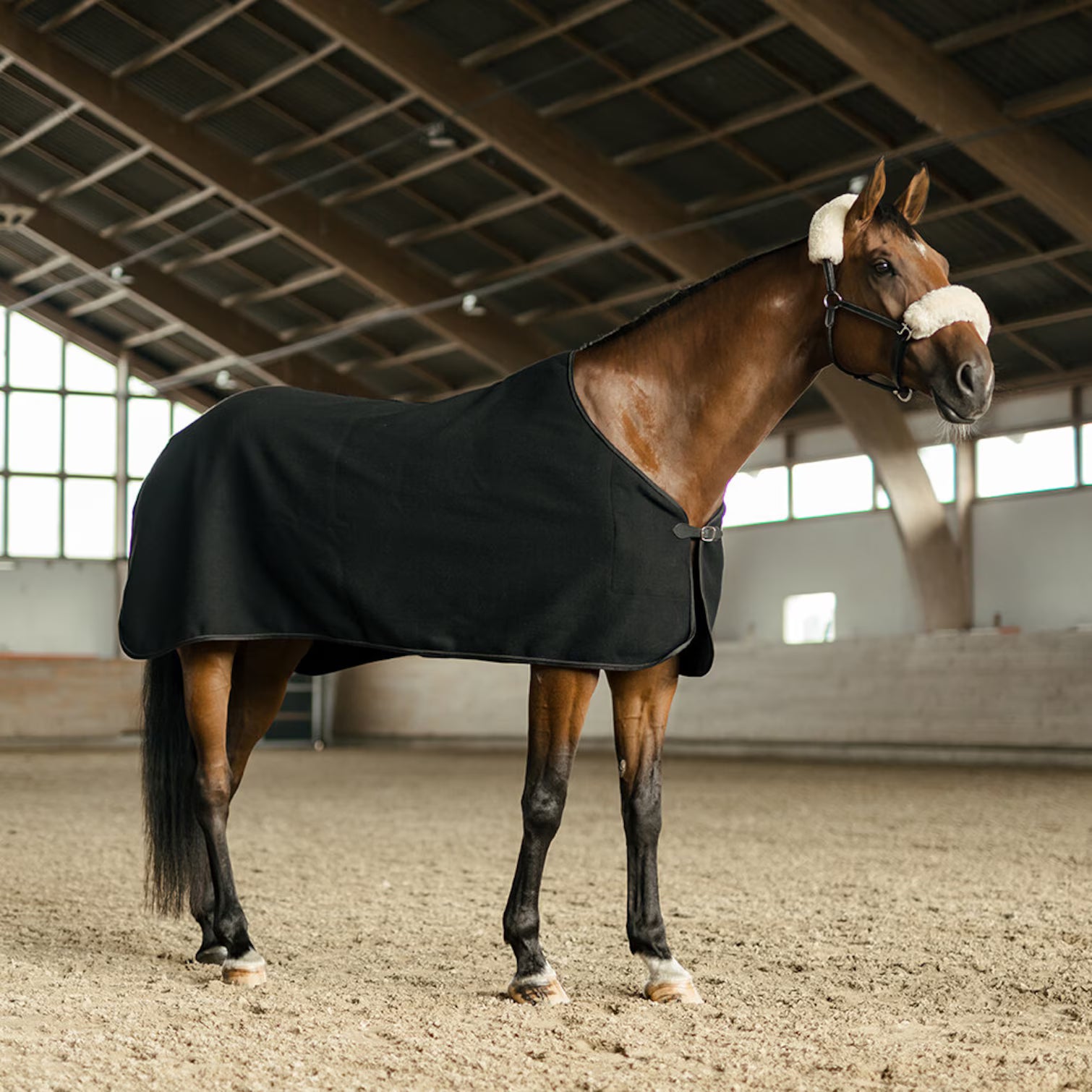 Hansbo Sport Wilma Ulddækken m. Aftagelige Gjordstropper