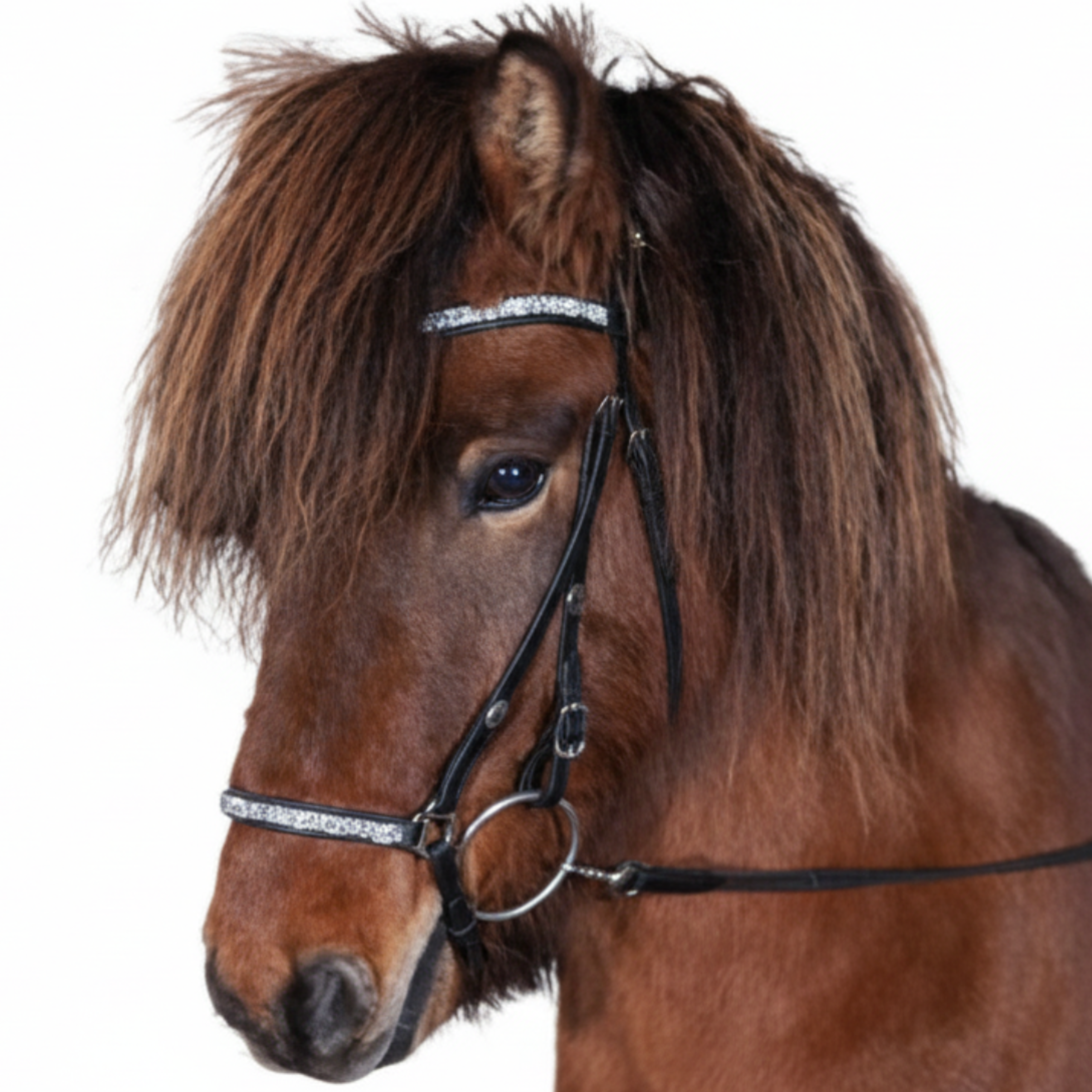 Hasta Gallery Rockstone Næserem M.Hvide Sten