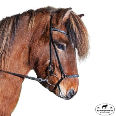 Hesta Gallery Rockstone Næserem M. Blå Sølv Sten