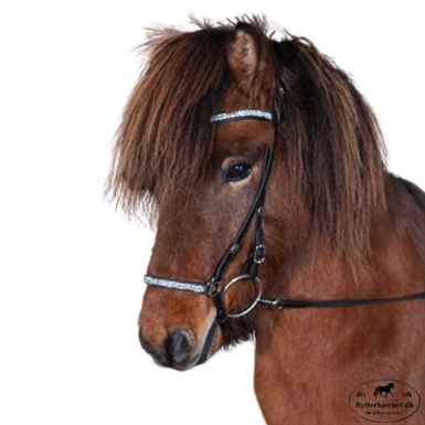 Hasta Gallery Rockstone Næserem M.Hvide Sten