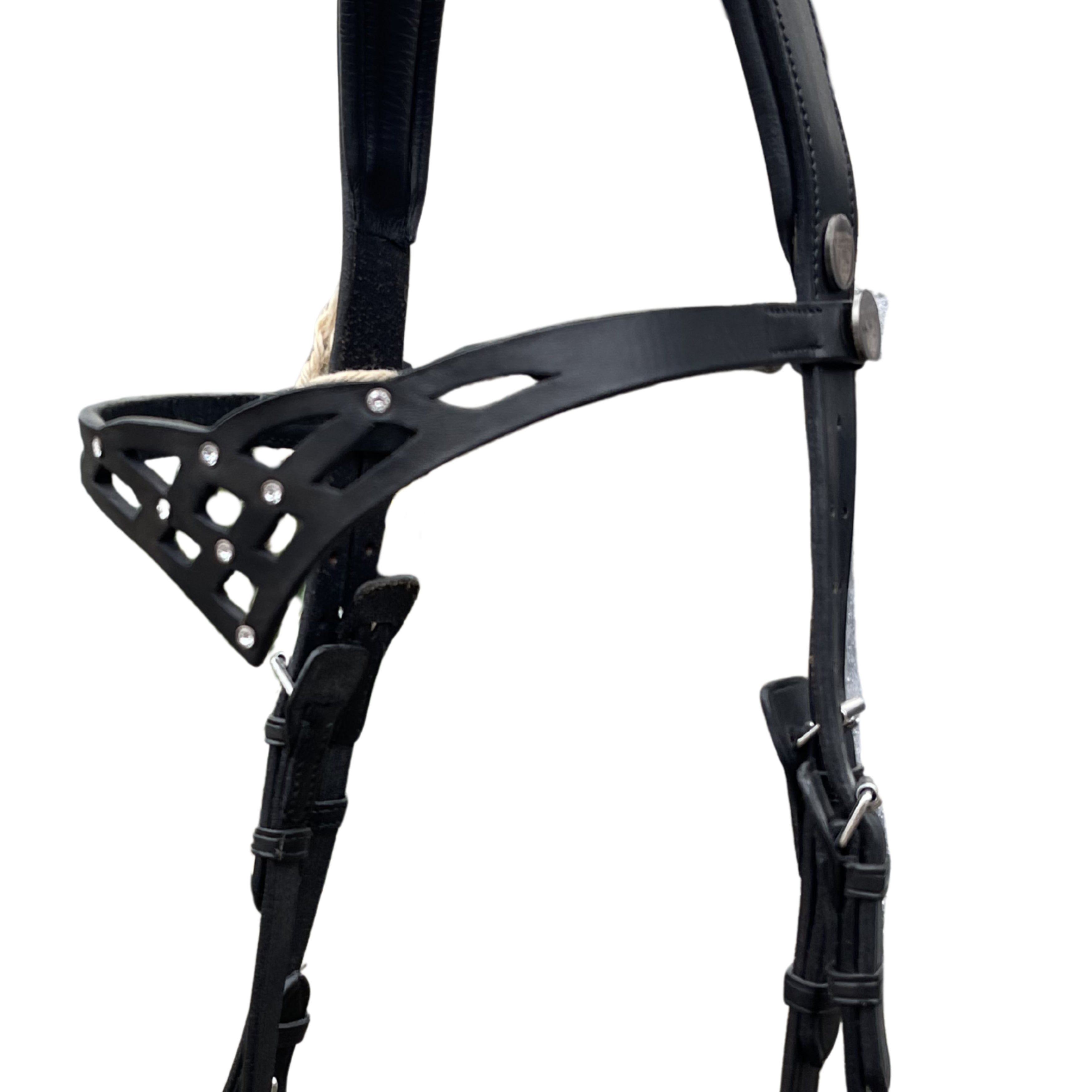 Hilbar Royal Celtic Trense