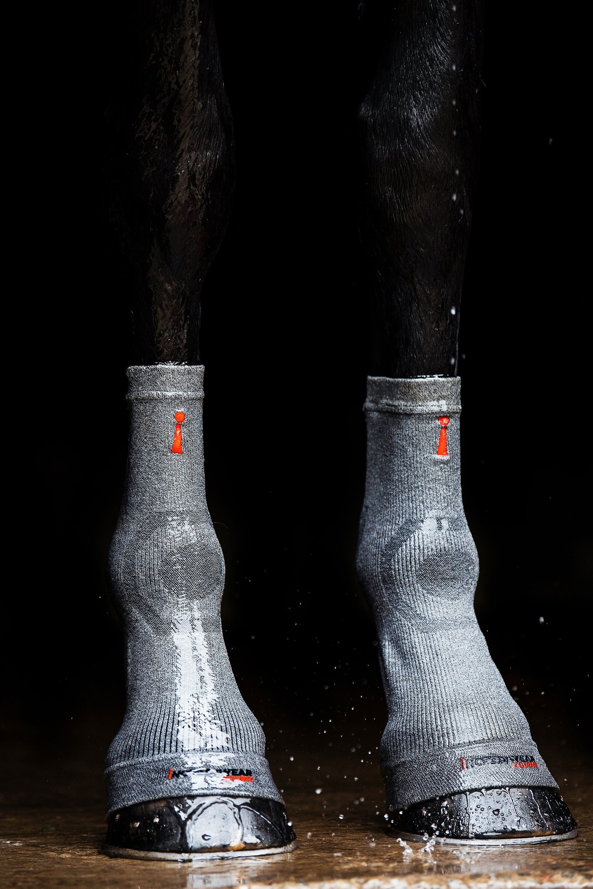 Incrediwear Circulation Hoof Socks, Par - Grå