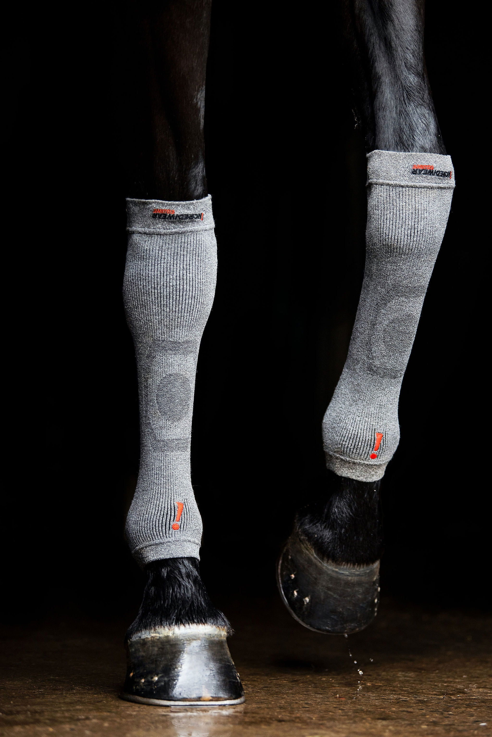 Incrediwear Circulation Hoof Socks, Par - Grå