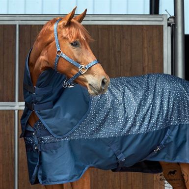 HorseGuard Hally Grime - Navy