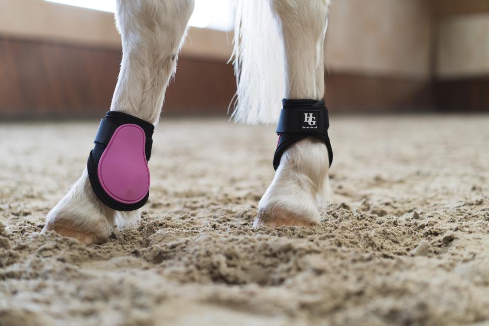 HorseGuard Tary Bagbensgamacher